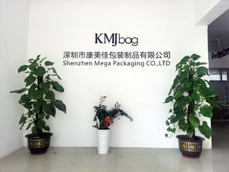 Shenzhen Mega Packaging Co.,Ltd manufacturer production line